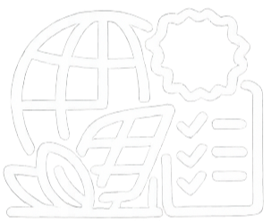 ISO Management Systems